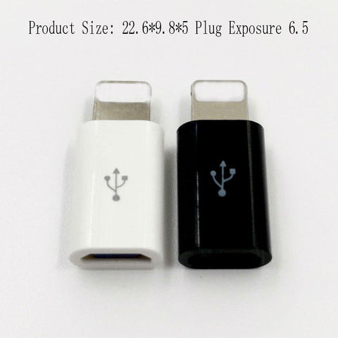 Image of Android Micro usb To IOS Charging adapter