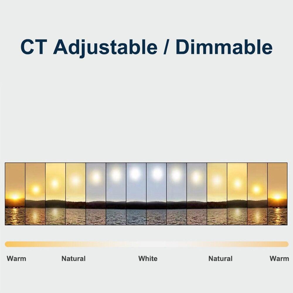 10 Inch LED Ring Light Dimmable Selfie Lamp with Tripod Photography Camera Phone Light for Makeup Video Live